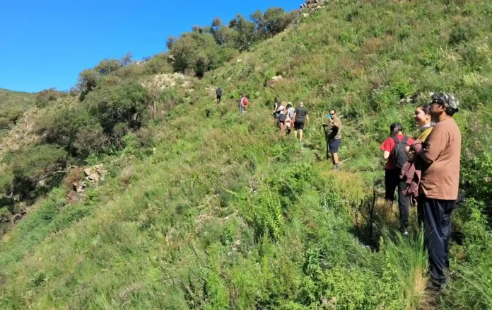 c210fd1c-e94c-4729-b6b5-69833f429e73-ezgif.com-jpg-to-webp-converter