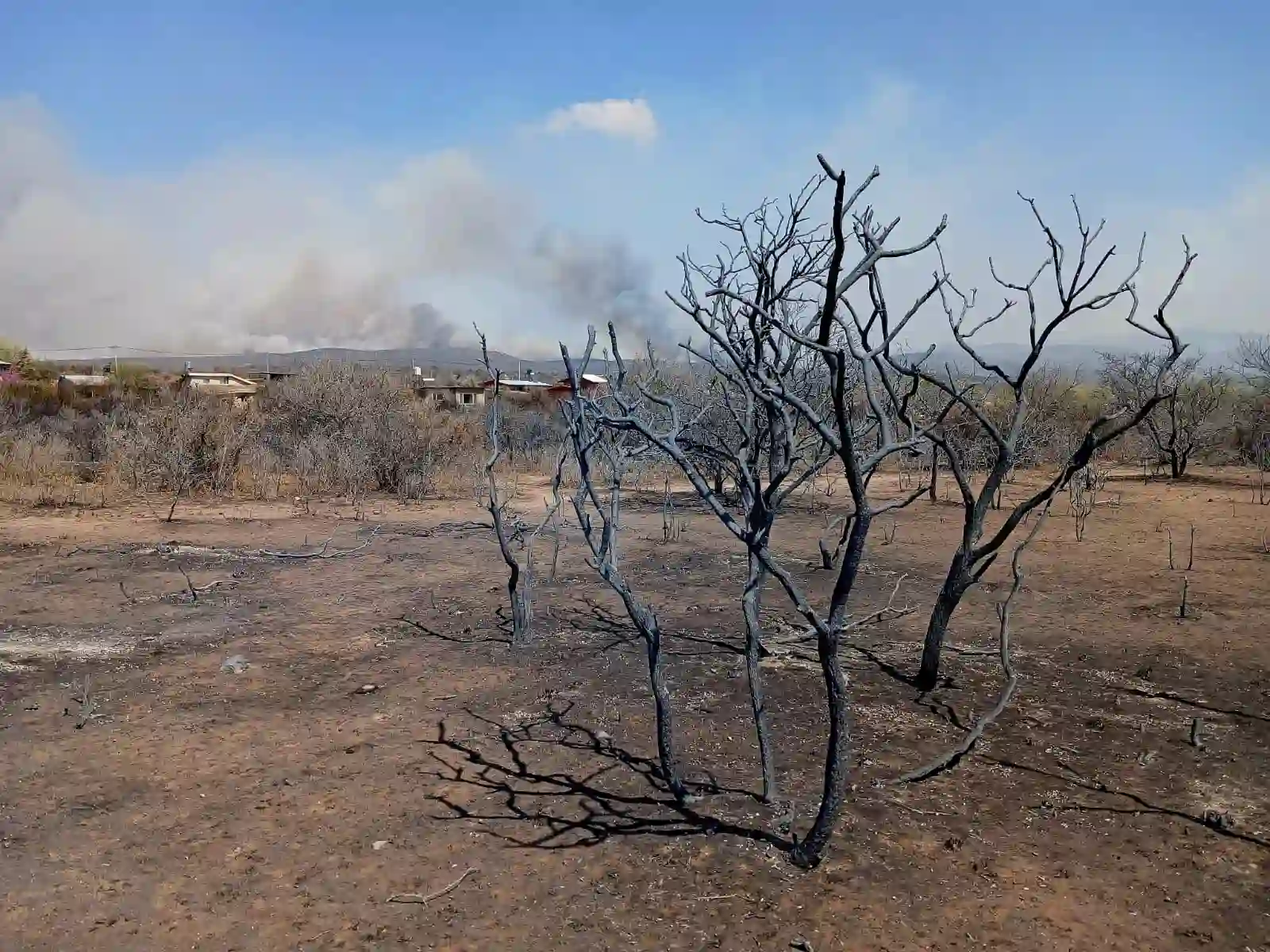 Anticipan días de alto riesgo de incendios forestales en Córdoba